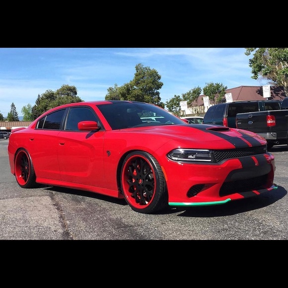 Meet your Posher, Isaiah - Picture 1 of 1